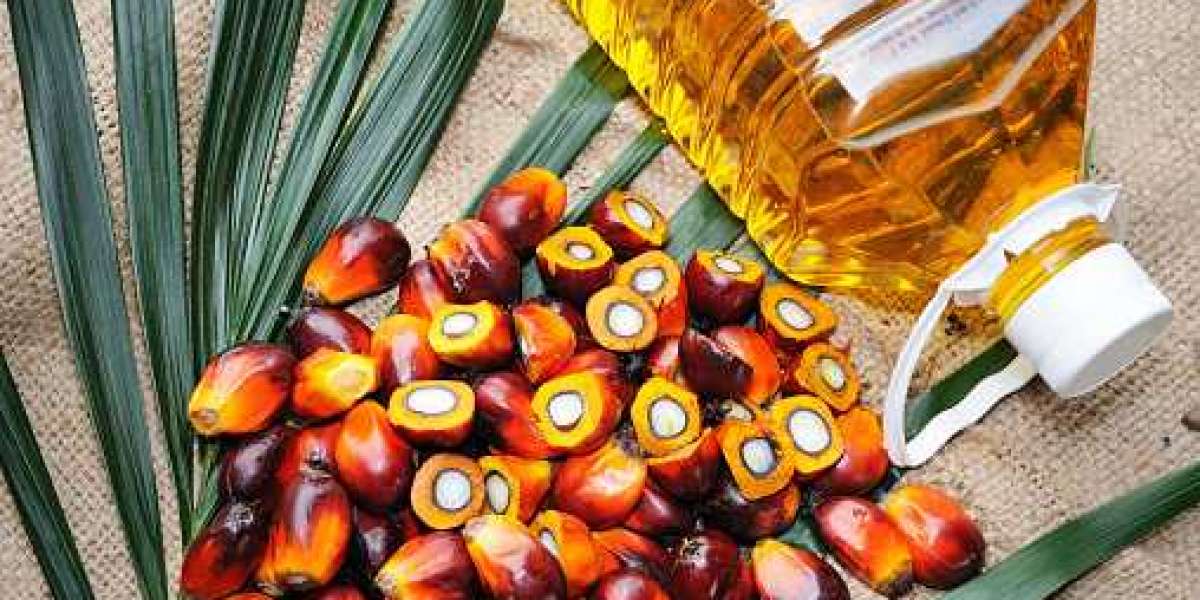 Canada Palm Oil Market Size, Key Players, Statistics, Gross Margin, and Forecast 2030