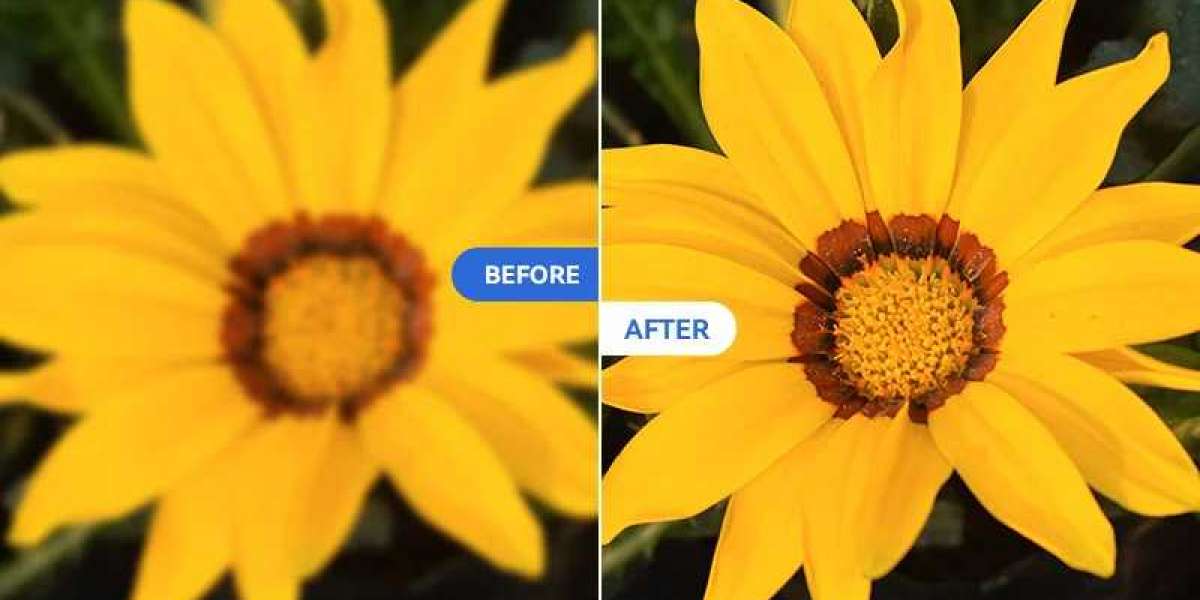  Unlocking Clarity: How AI Can Remove Blur from Photos Effortlessly