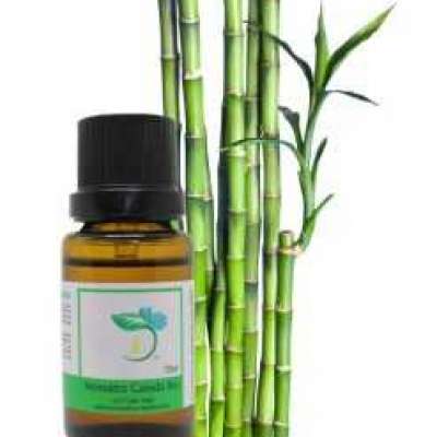Bamboo & Teak Fragrant Oil Profile Picture