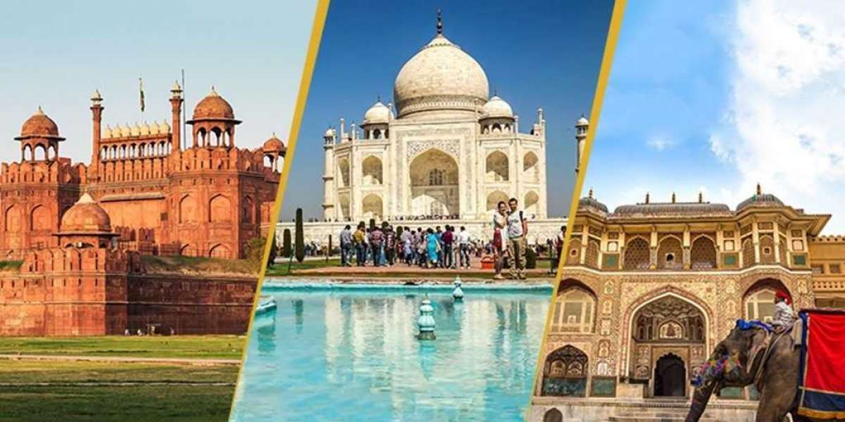 Discover India with Traveltrip24x7: Your Premier Travel Partner