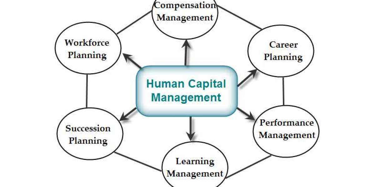 Human Capital Management Market Know The Market Driving Factors 2032