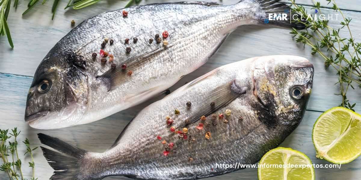 Mexico Fish Market: Diverse Marine Harvests Fuel Culinary Delicacies