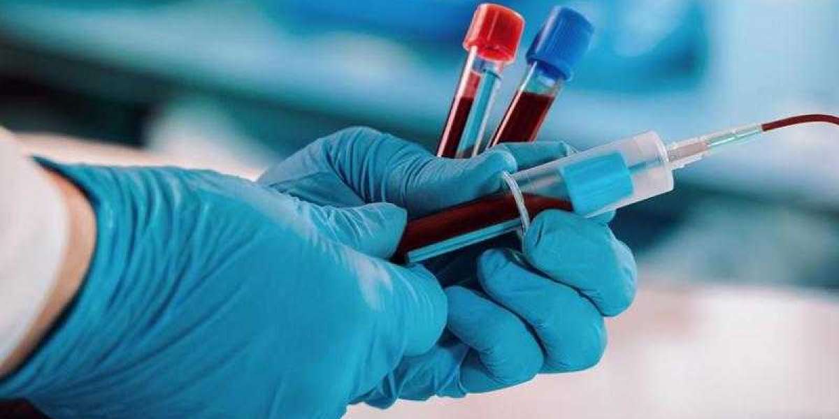 Blood Collection Market Share, Growth, Trends, Report, 2024-2032