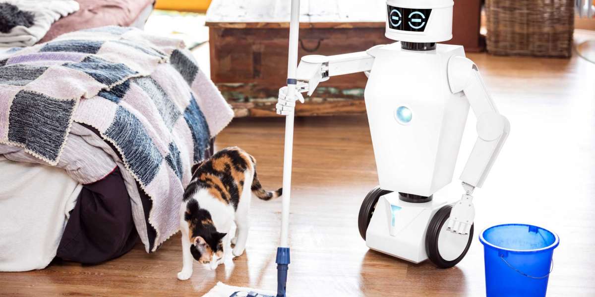 Household Robot Market : Applications, Outstanding Growth, Market status and Business Opportunities