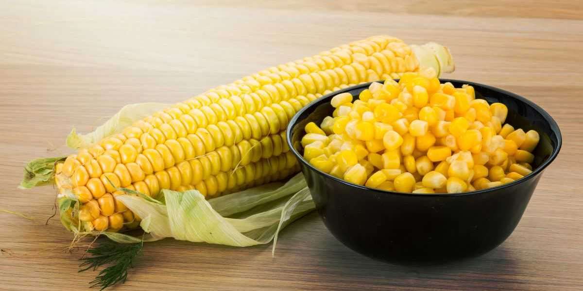 Maize Momentum: Exploring Chile Dynamic Corn Market Trends