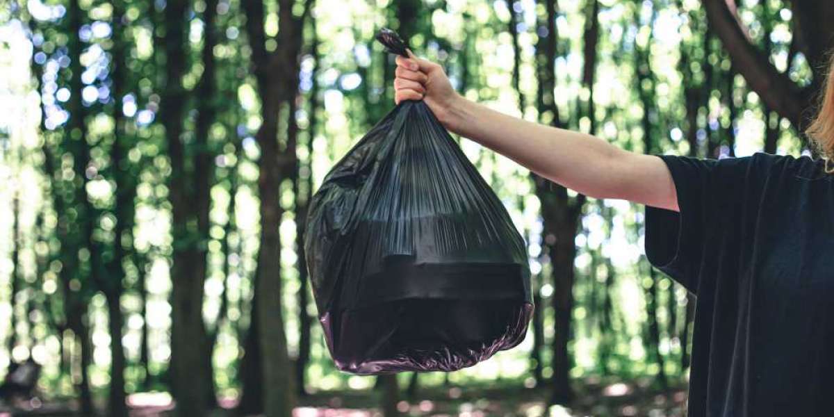 Trash Bag Market Analysis: Trends, Innovations, and 2024 Forecast Study