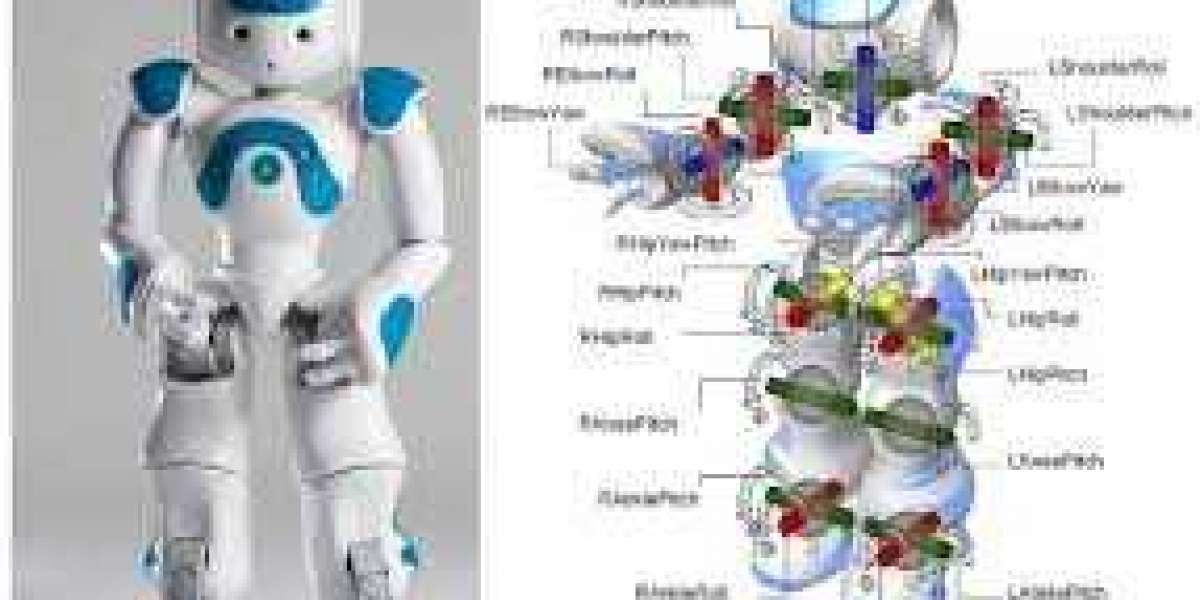 Programmable Robots Market: Size, Share, Growth, Latest Trends, Global Forecast 2032
