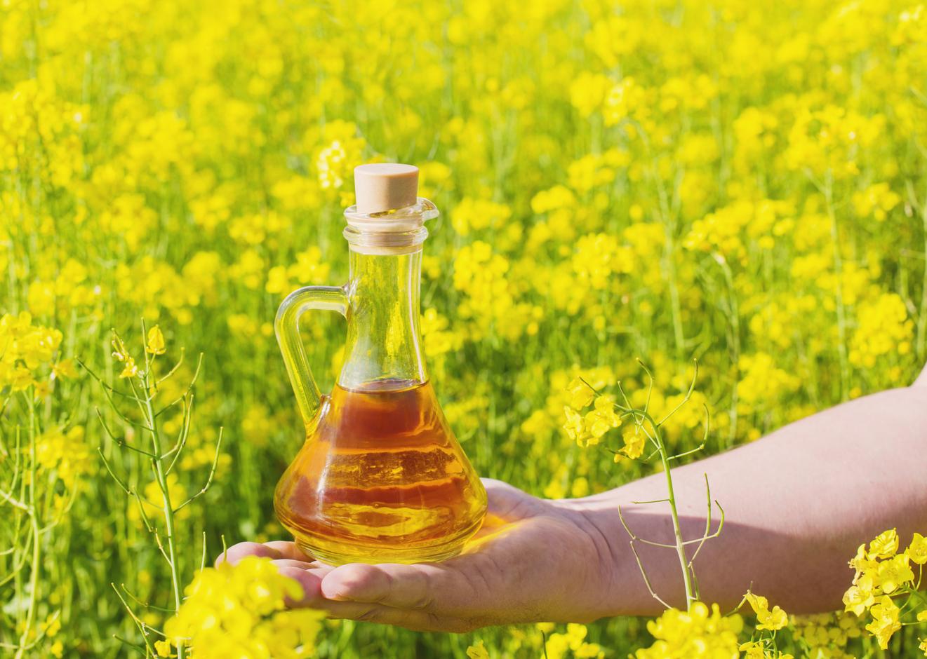 Groundnut Oil Supplier in India: The Future of the Groundnut Oil Industry