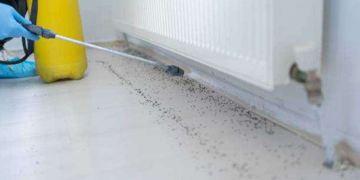 Among Pest Control Companies in Orlando, Imperial Pest Prevention is Top Tier