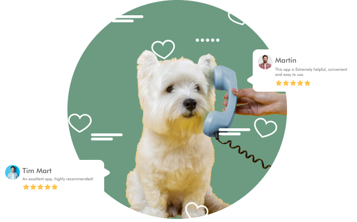 Fizgig App - Your Trusted Source for Pet Care Services
