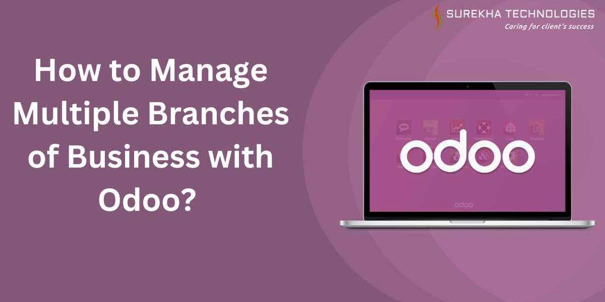 How to Manage Multiple Branches of Business with Odoo?