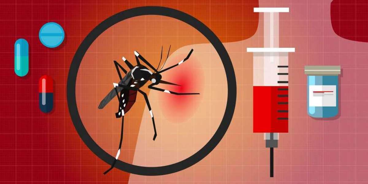 Decoding the Chikungunya Fever Market: Trends, Segmentation, and Key Players in 2024