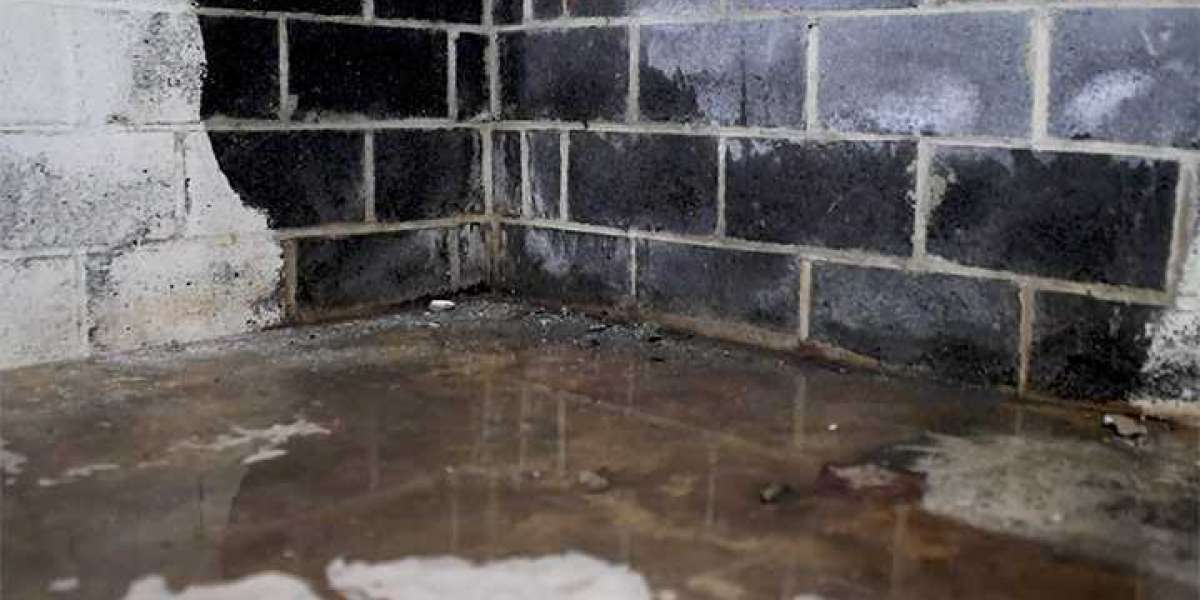 Keeping Your Property Dry: Waterproofing Service in Michigan
