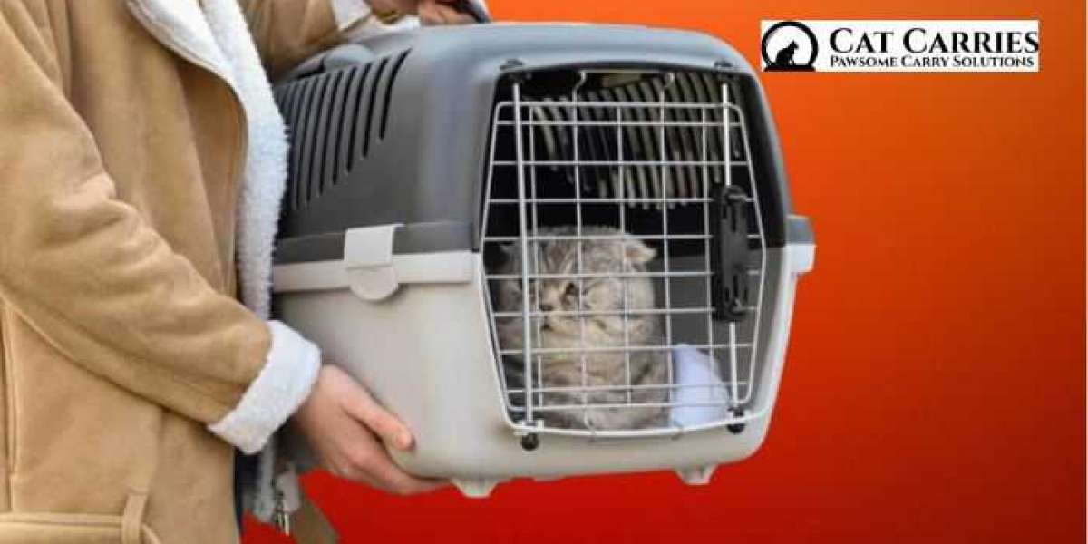 Choosing the Perfect Cat Carrier: A Comprehensive Guide