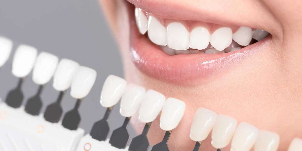The Future of Dentistry: Innovations Shaping Etobicoke's Dental Landscape