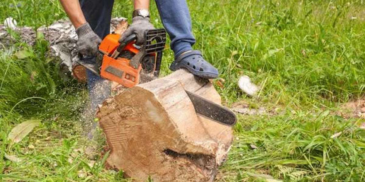 Tree Removal Sydney: Safe and Efficient Removal by SydneySide Tree Services