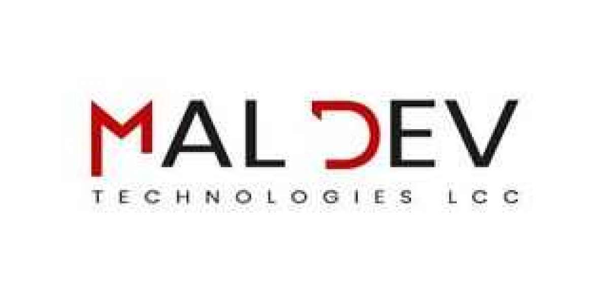Transforming Businesses Across States: Maldev Technologies' Impact in Software and Web Solutions