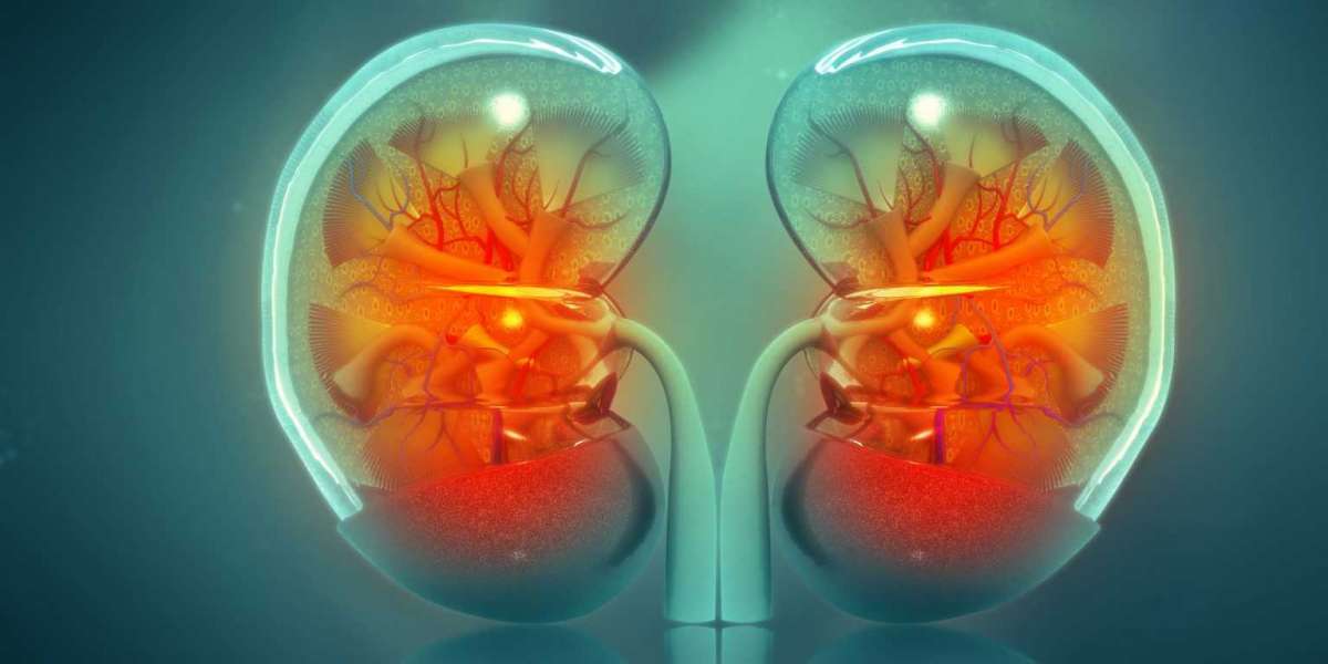 Artificial Kidney Market Boom: Unveiling Top Innovations & Growth Potential