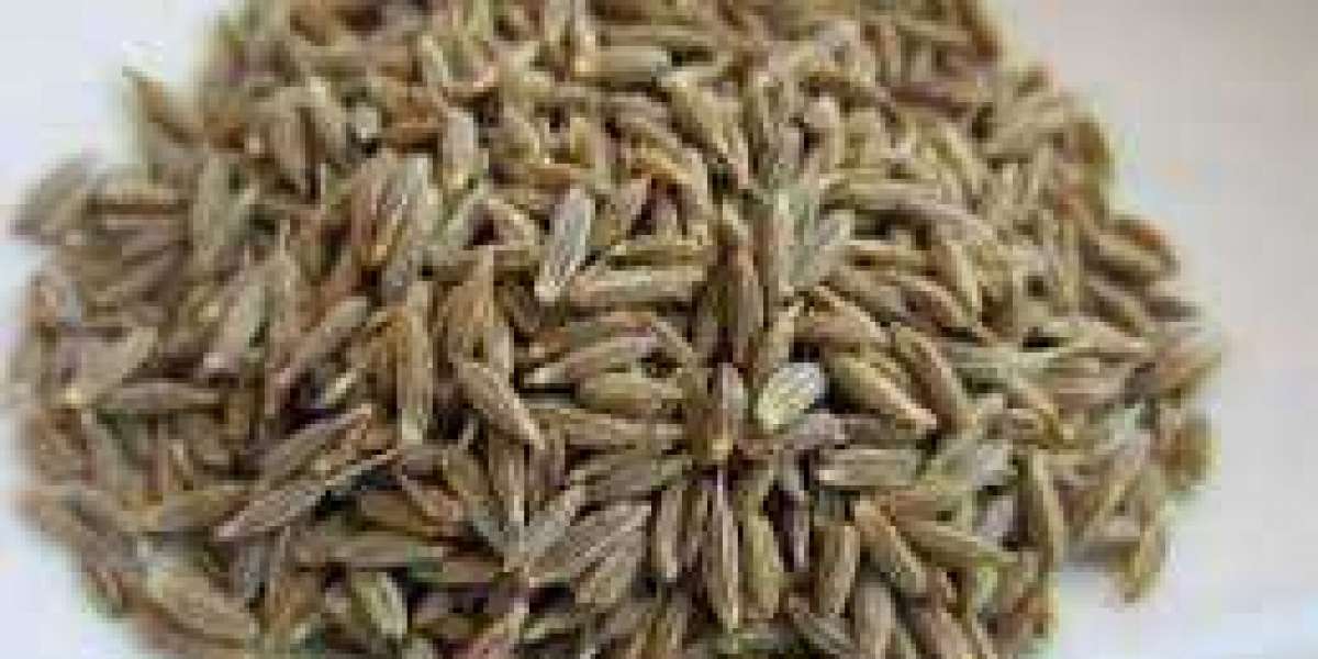 Cumin Seeds to Help Lose Weight