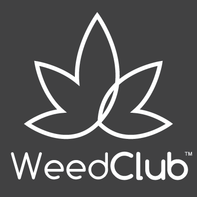 WeedClub | D. T. | Unlocking Online Income: Expert Strategies on How to Make Money Online
