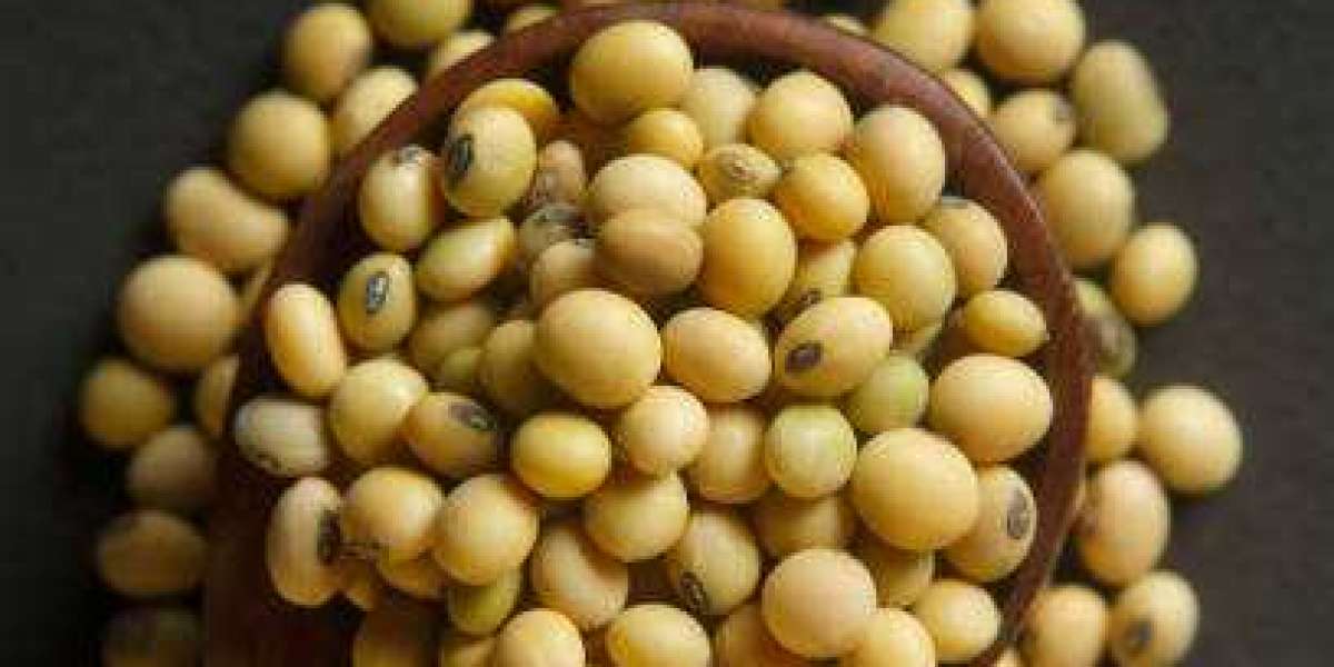 Asia-Pacific Organic Soybean Market Report: Competitor Analysis, Regional Portfolio, and Forecast 2030