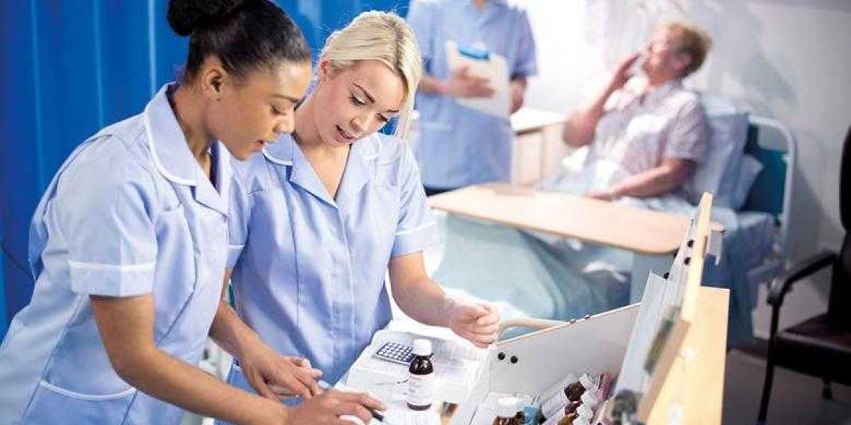 DNP Assignment Help: Your Pathway to Success in Advanced Nursing