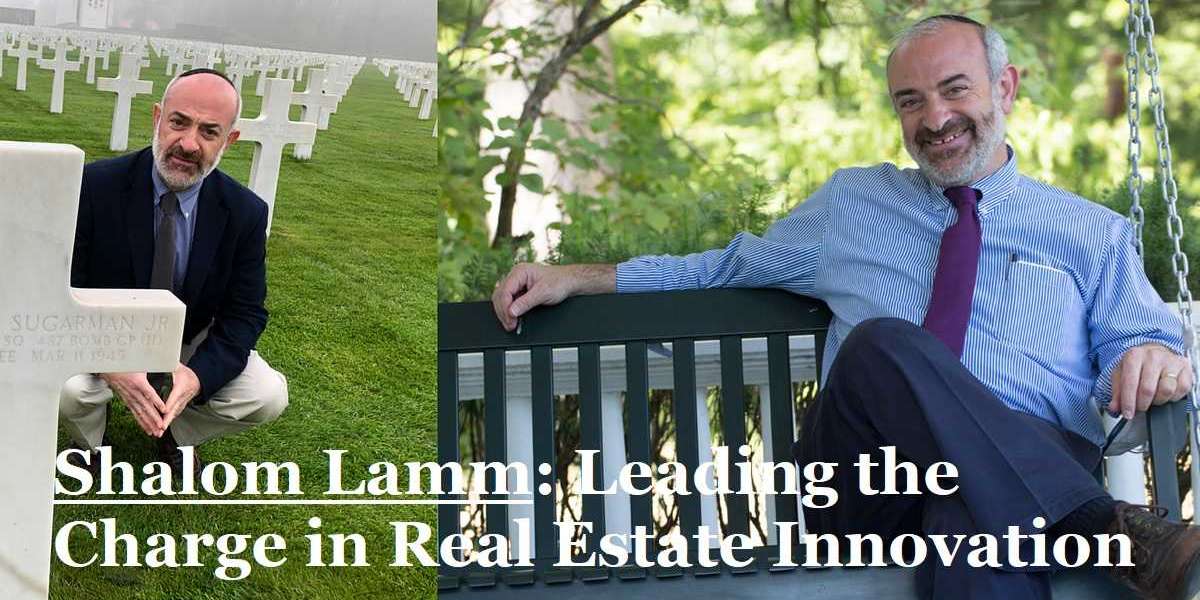 Shalom Lamm Real Estate