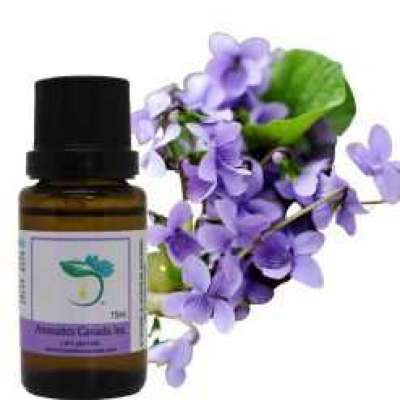 Violet Leaf Absolute Oil Profile Picture
