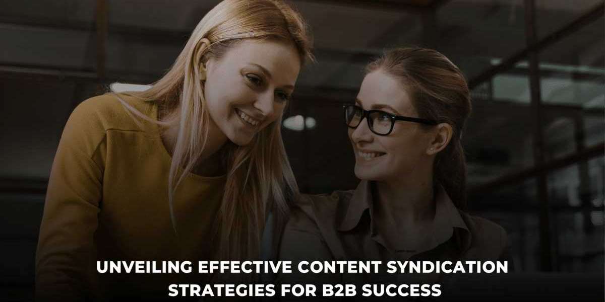 Unveiling Effective Content Syndication Strategies for B2B Success