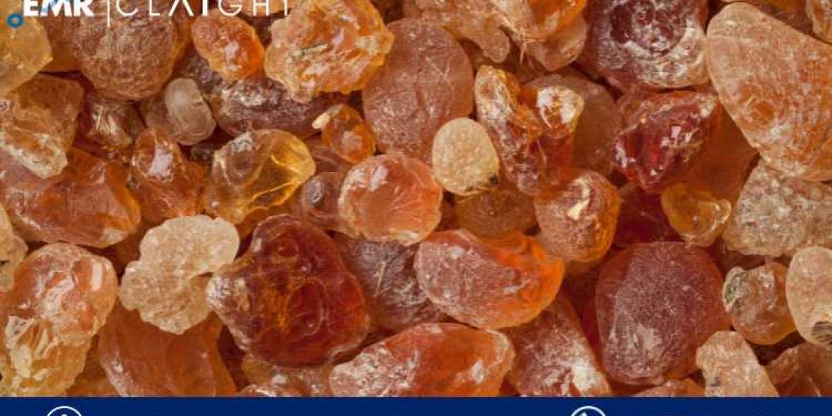 Unveiling the Lucrative Realm of Gum Arabic: Trends, Analysis, and Market Dynamics