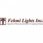 fehmi lights