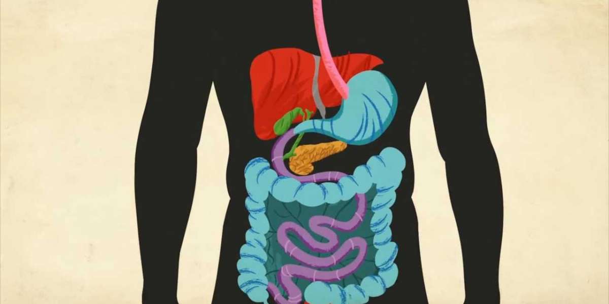 Taming Tummy Troubles: Rising Demand Drives Gastrointestinal Drug Market