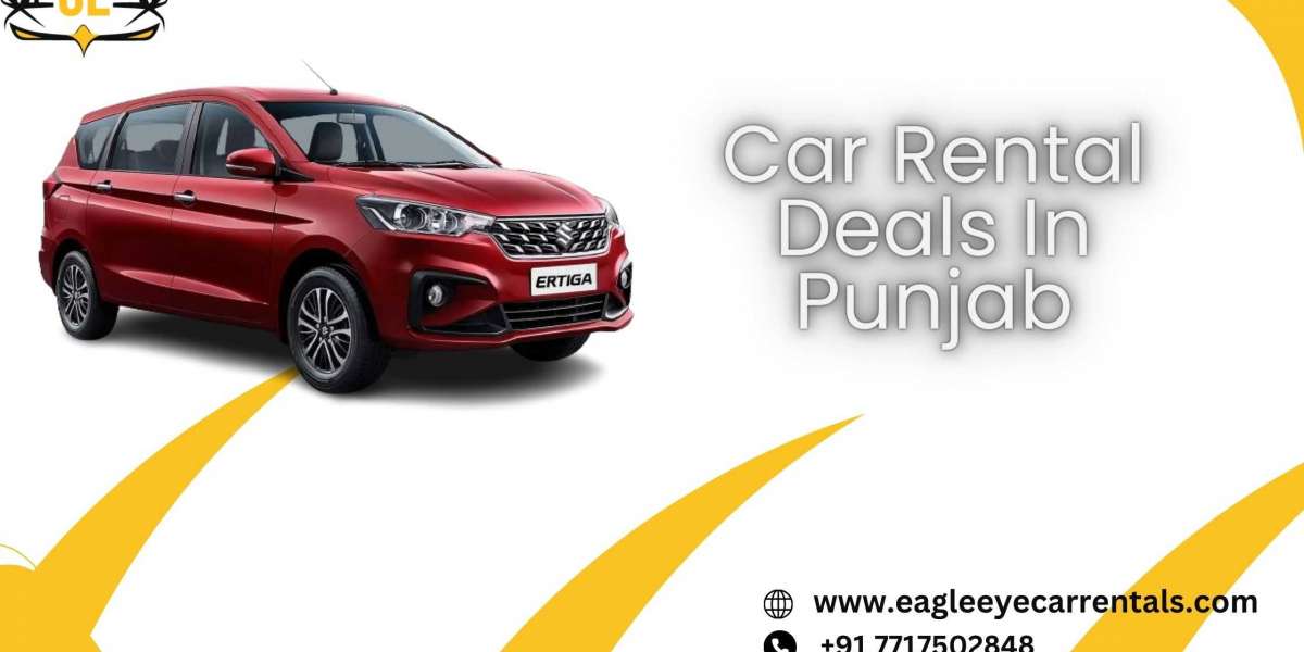 Why Eagle Eye Car Rentals Should Be Your Top Choice for Exploring Punjab?