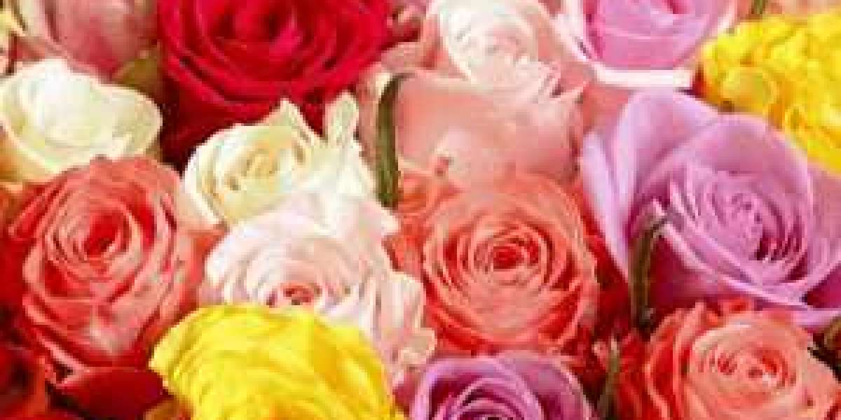 Mother's Day Flowers in Bulk: Explore the Beauty of Carnations