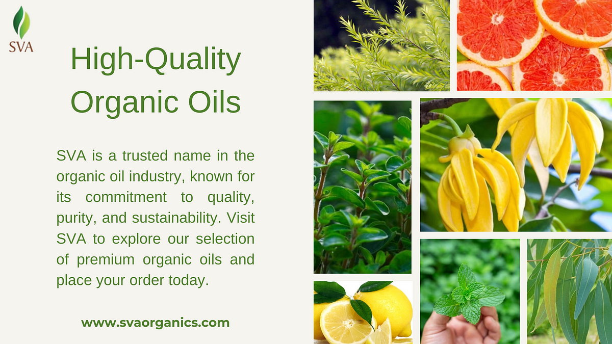 Elevate Your Product Line with High-Quality Organic Oils from SVA | by svaorganics | May, 2024 | Medium