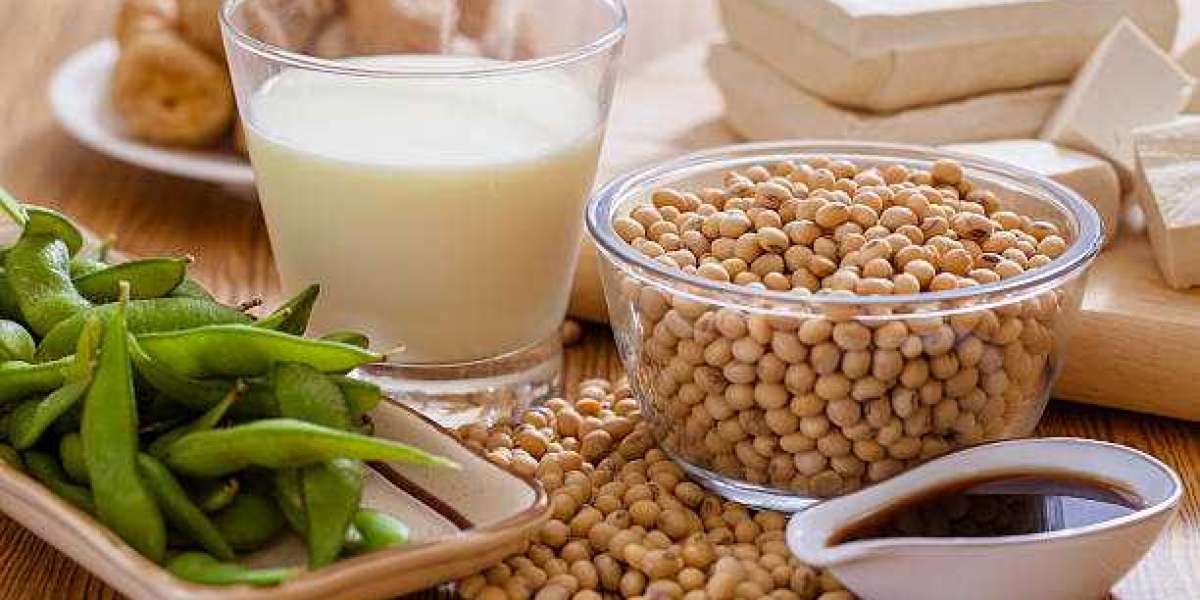 Japanese Soy Food Market Outlook - Industry Analysis, Size, Trends, Market Growth, Opportunities