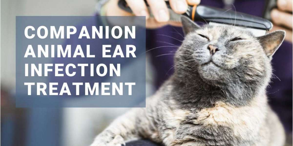 Companion Animal Ear Infection Treatment Market Size, Key Players Analysis And Forecast To 2032 | Value Market Research