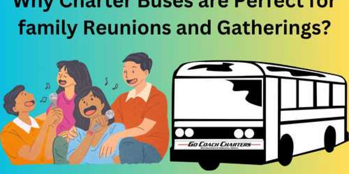 Creating Lasting Memories: Why Charter Buses Are Perfect for Family Reunions and Gatherings
