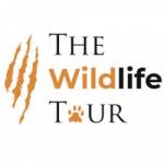 wildlife safari in India