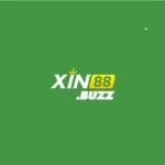 Xin88 Buzz