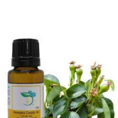 Clove Bud Organic Essential Oil Profile Picture